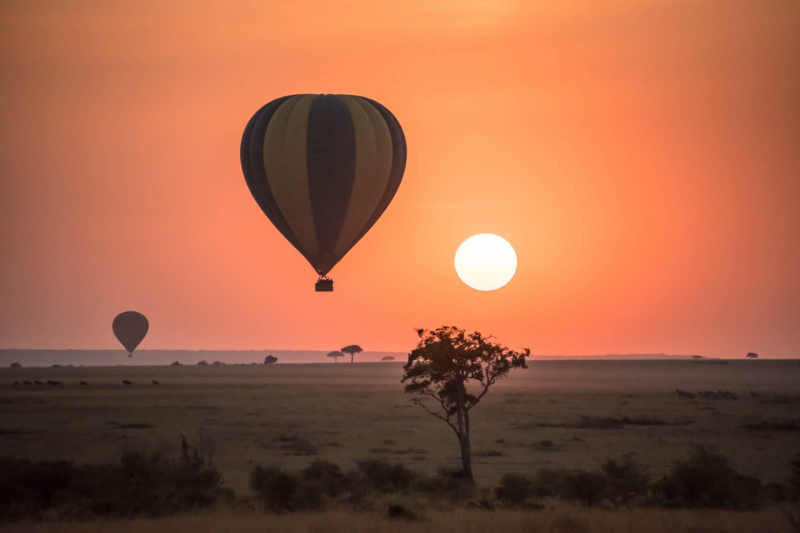 Tarangire Hot Air Balloon Safari