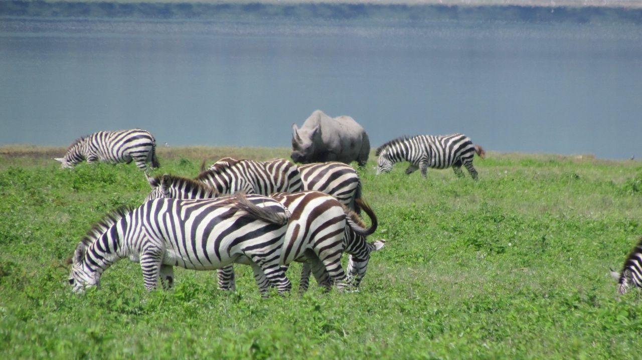 14 days kenya safari