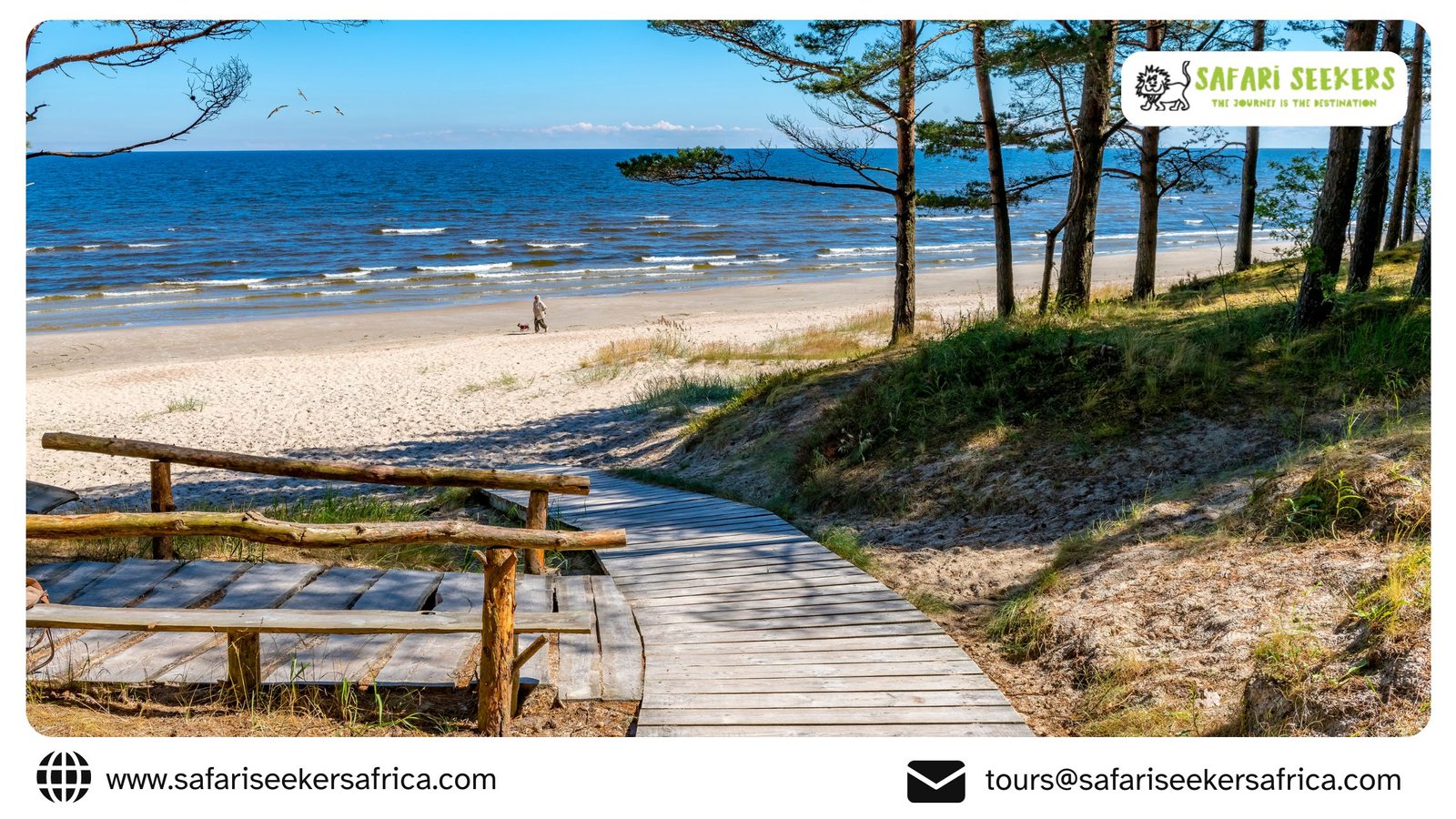 Combining Coastal Relaxation with Wildlife Exploration