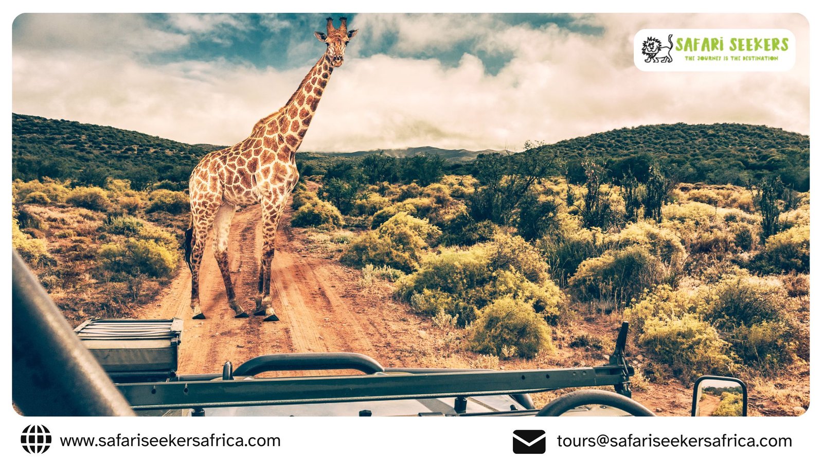 Photographic Safaris