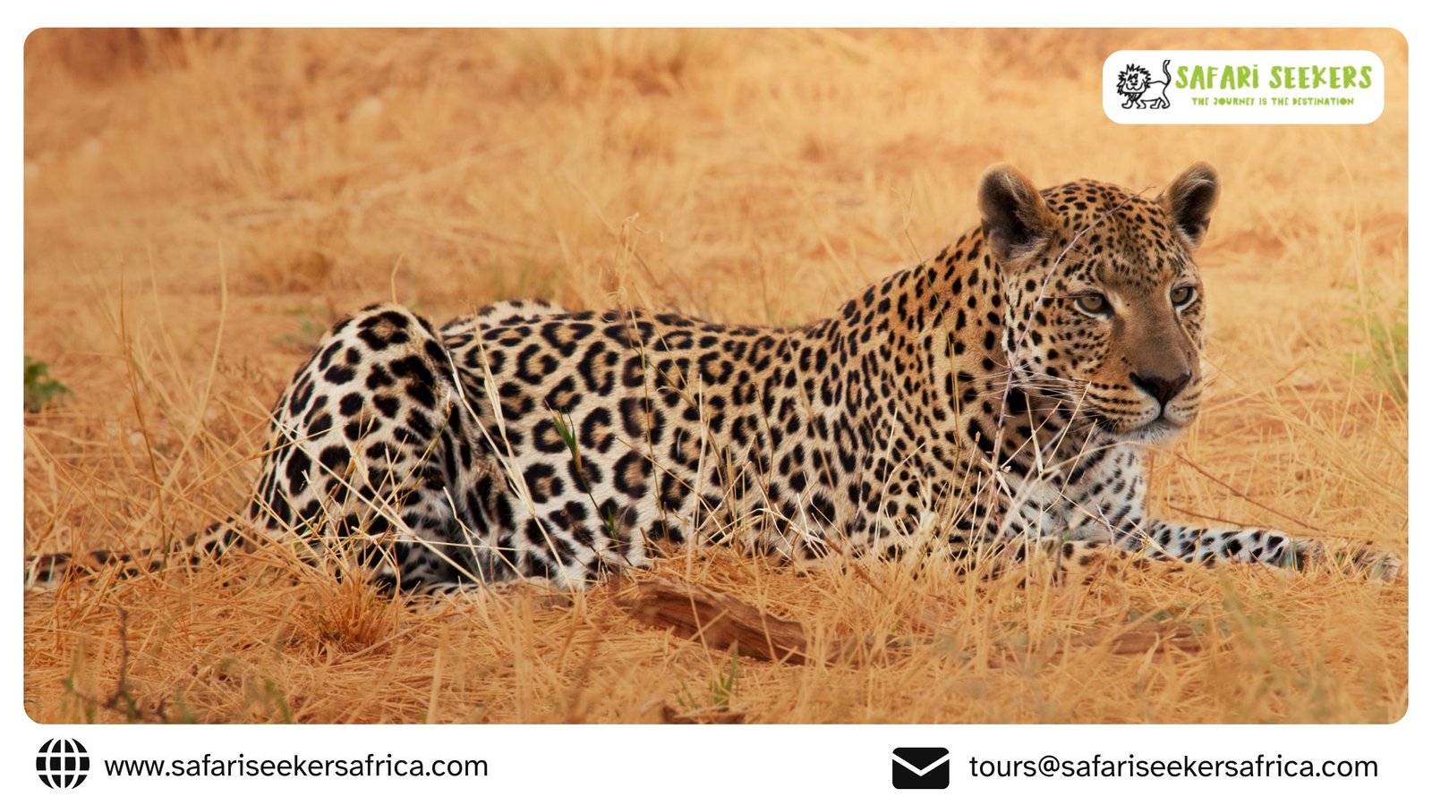 Photographic Safaris