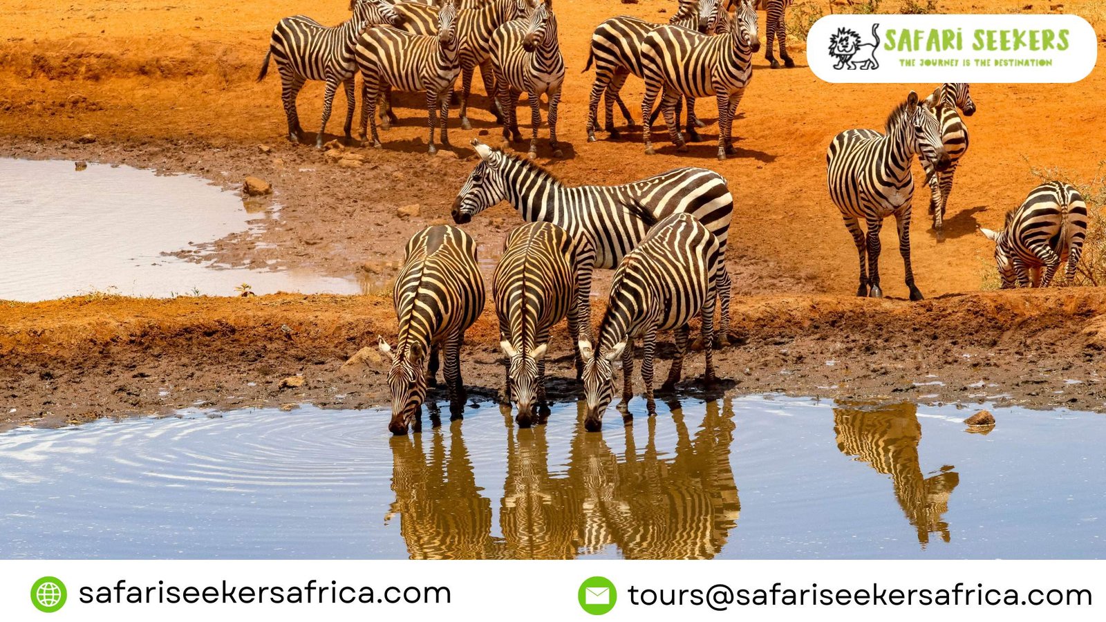 Wildlife Safaris