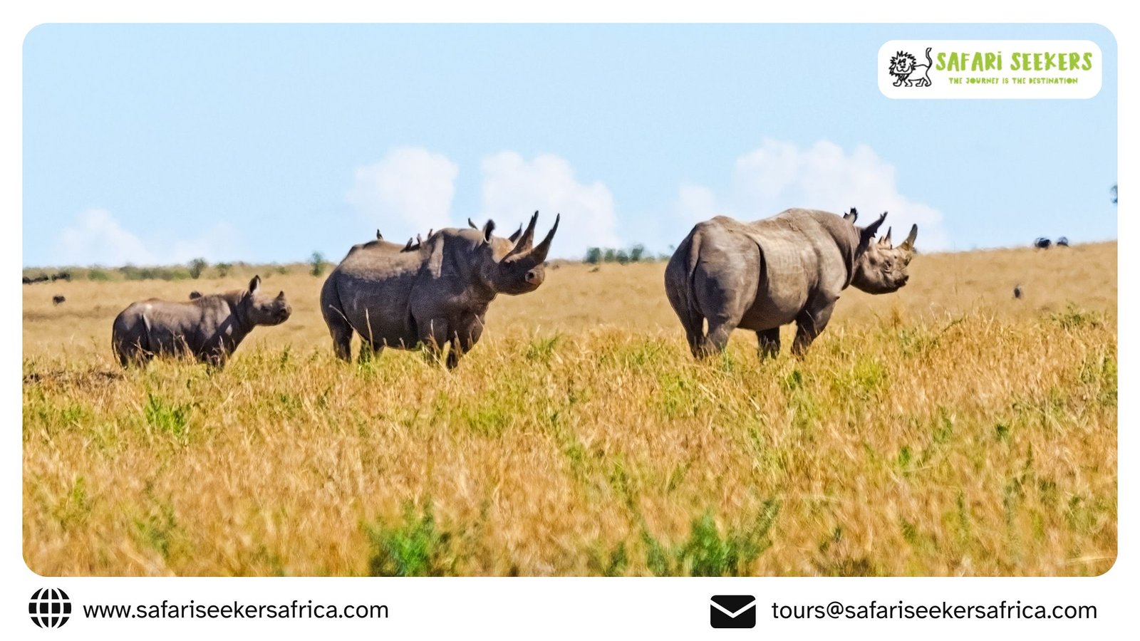 Photographic Safaris