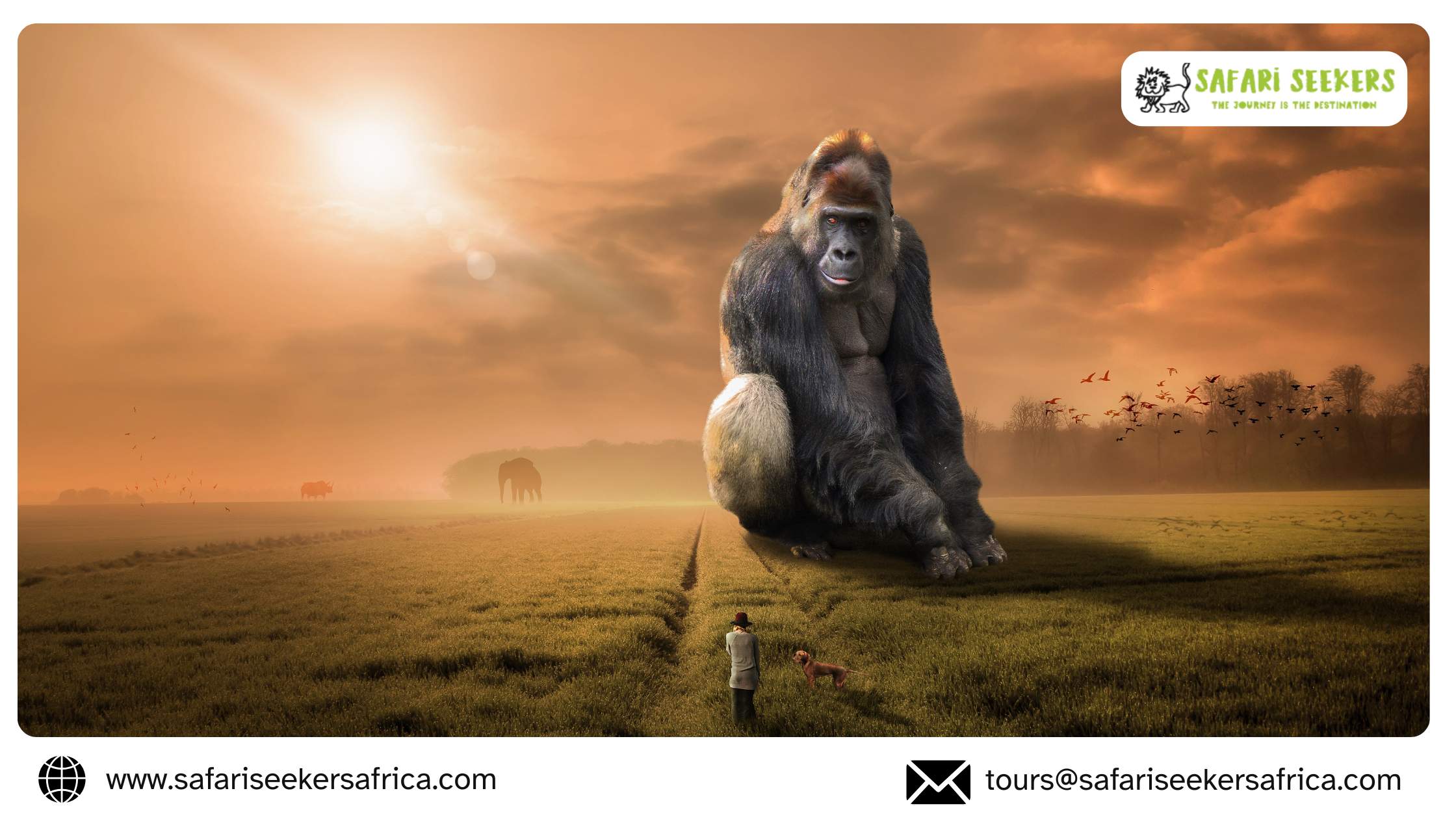 Gorilla Trekking