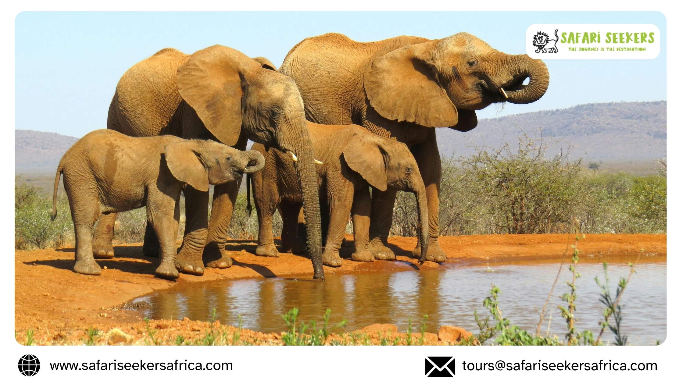 African Wildlife Safaris