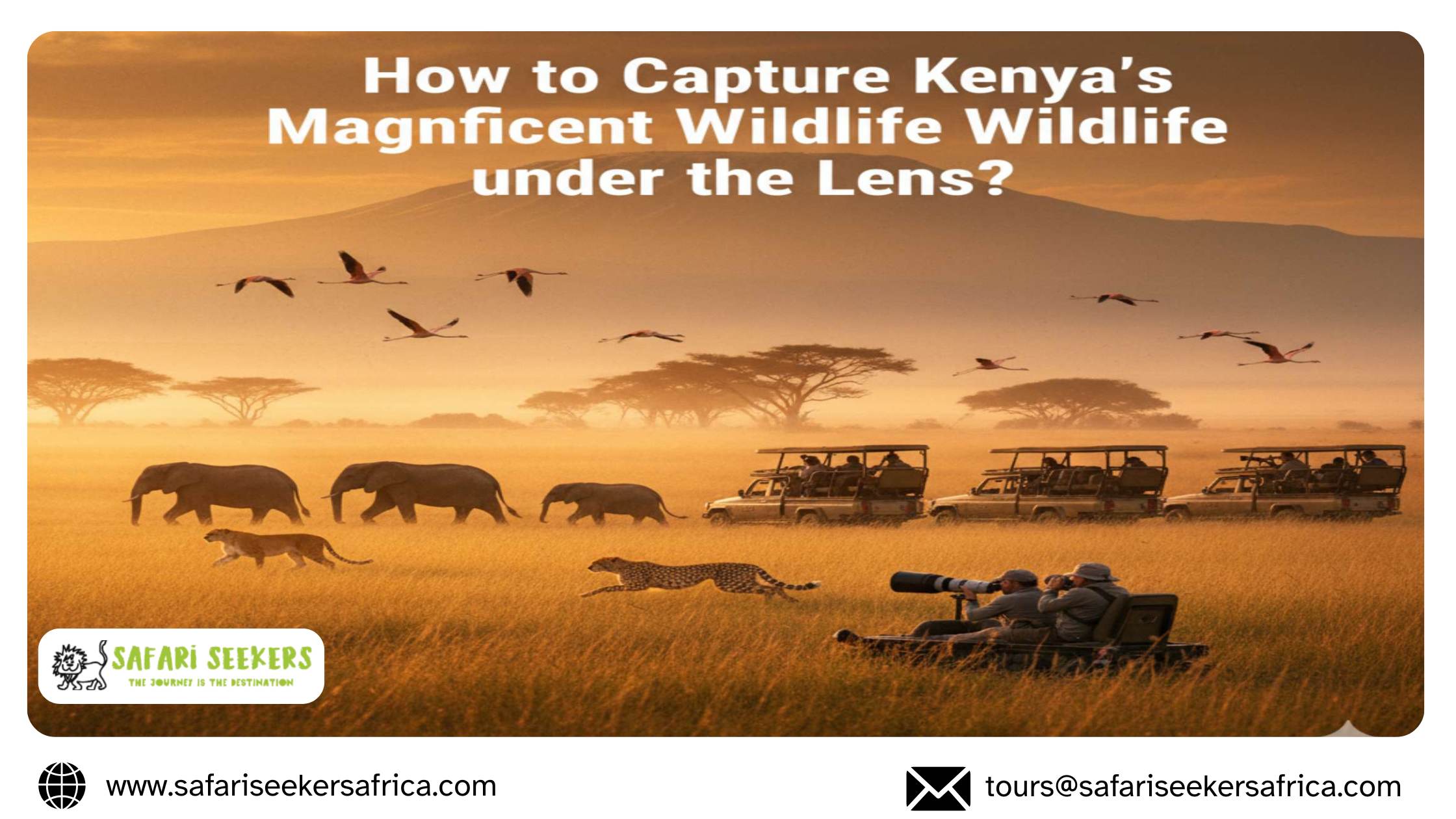 Photographic Safaris